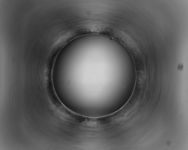 X0000102280639200807251359