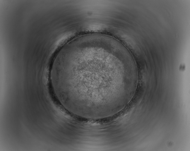X0000102280640200807251359