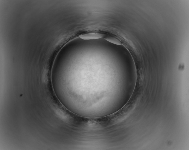 X0000102280641200807251359