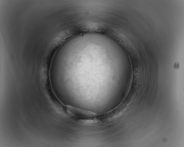 X0000102280642200807251359