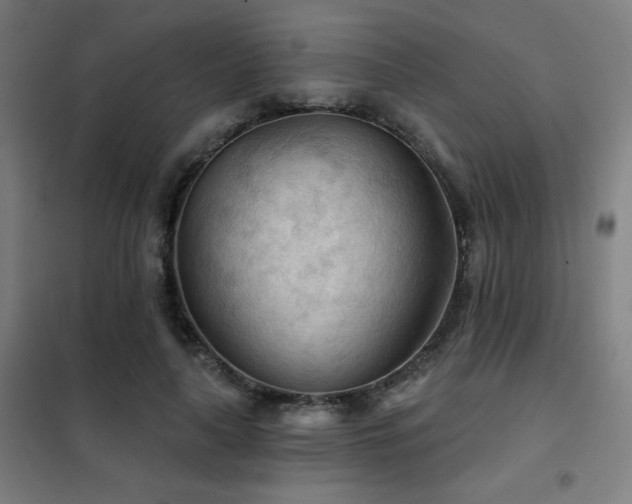 X0000102280643200807251359