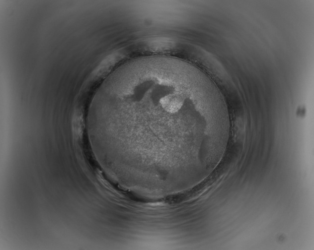 X0000102280644200807251359