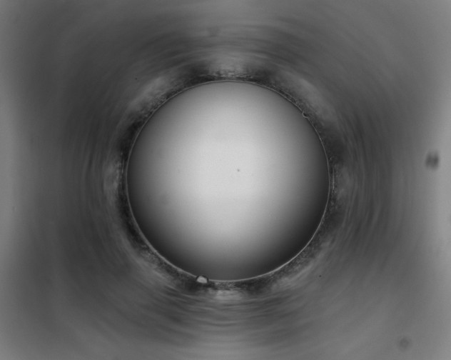 X0000102280645200807251359