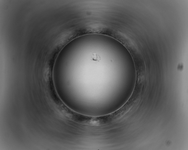 X0000102280647200807251359