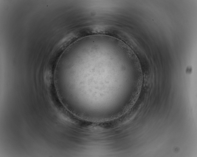 X0000102280648200807251359
