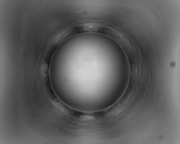 X0000102280649200807251359