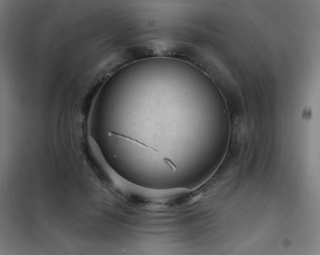 X0000102280650200807251359
