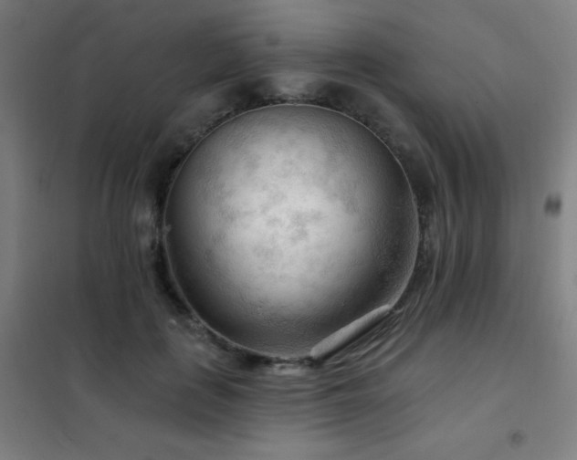 X0000102280651200807251359
