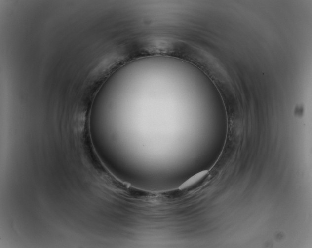 X0000102280652200807251359