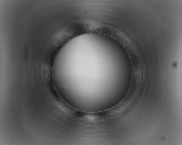 X0000102280654200807251359