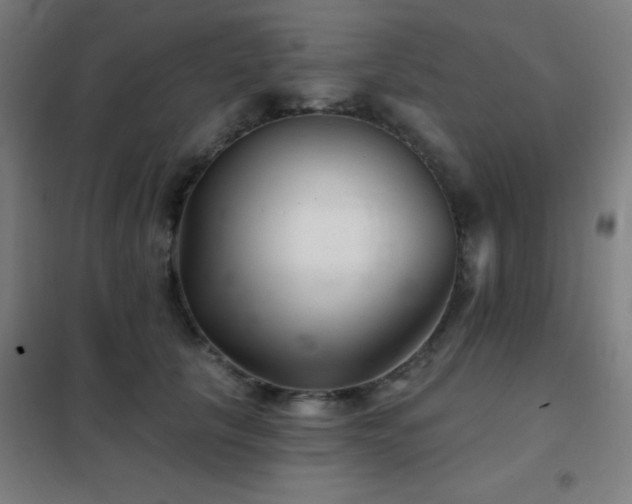 X0000102280657200807251359