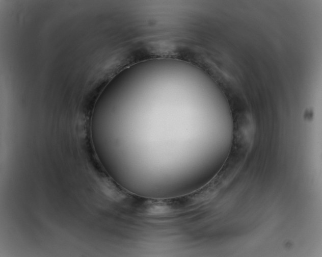 X0000102280658200807251359