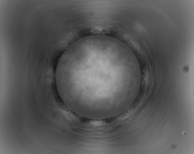 X0000102280659200807251359