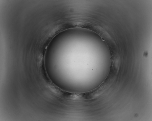 X0000102280660200807251359