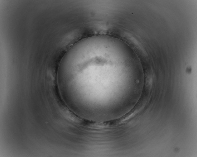 X0000102280661200807251359