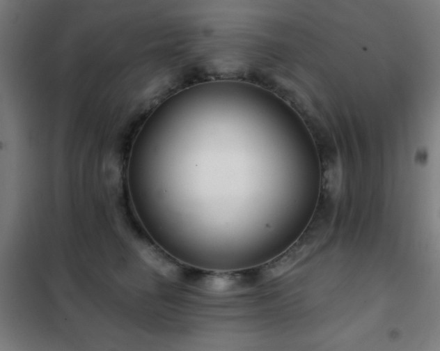 X0000102280662200807251359