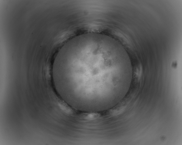 X0000102280663200807251359