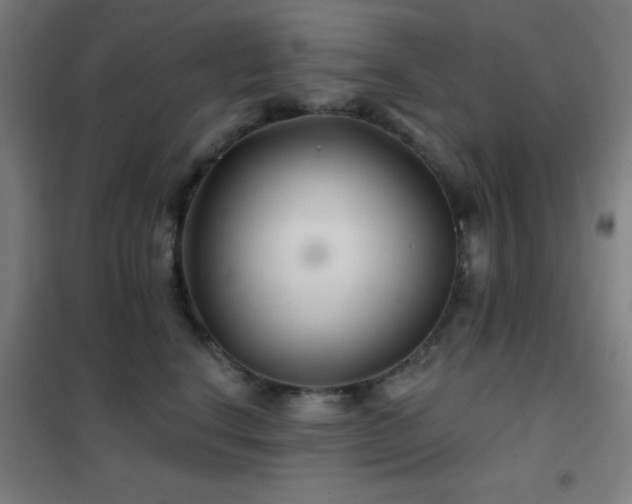 X0000102280664200807251359