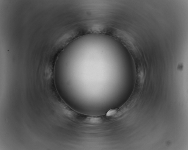 X0000102280665200807251359