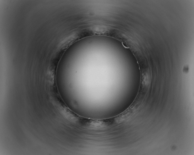 X0000102280666200807251359