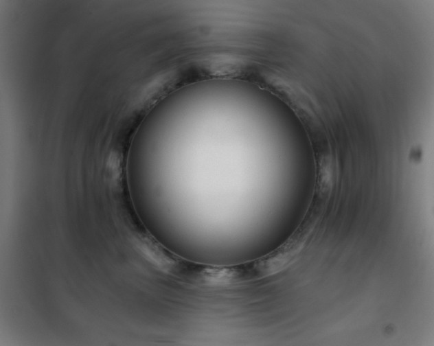 X0000102280667200807251359