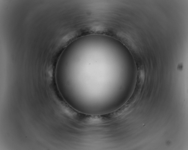 X0000102280668200807251359
