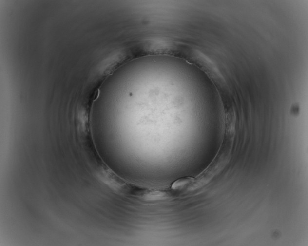 X0000102280669200807251359