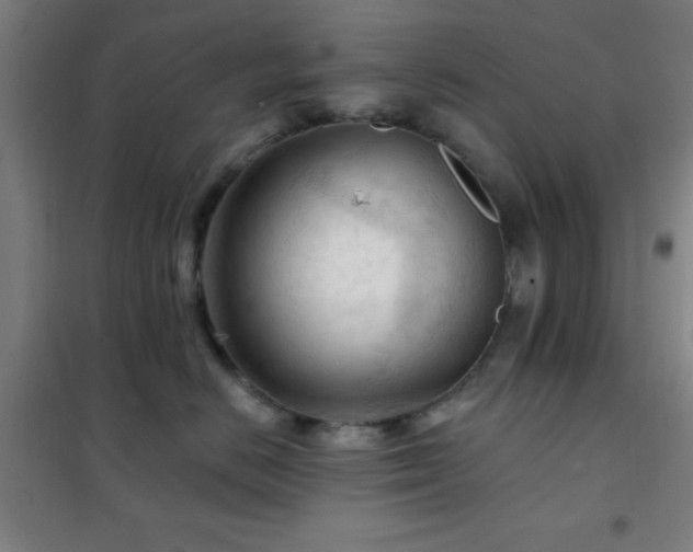 X0000102280670200807251359