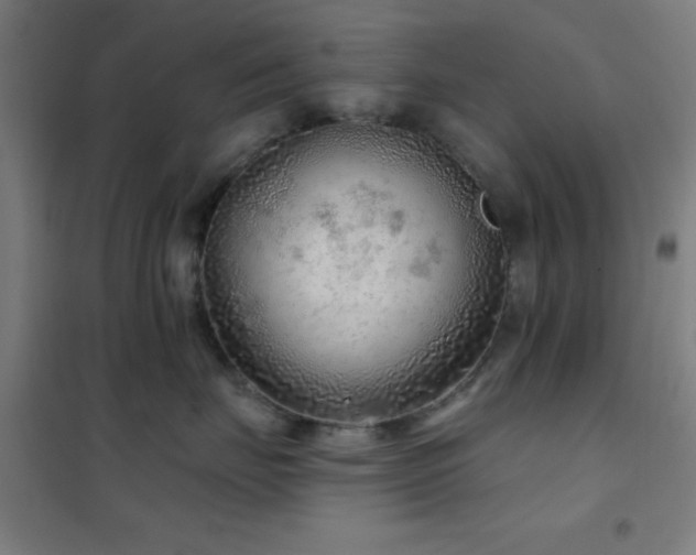 X0000102280671200807251359