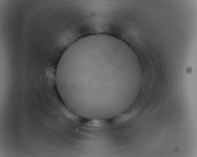 X0000102280672200807251359