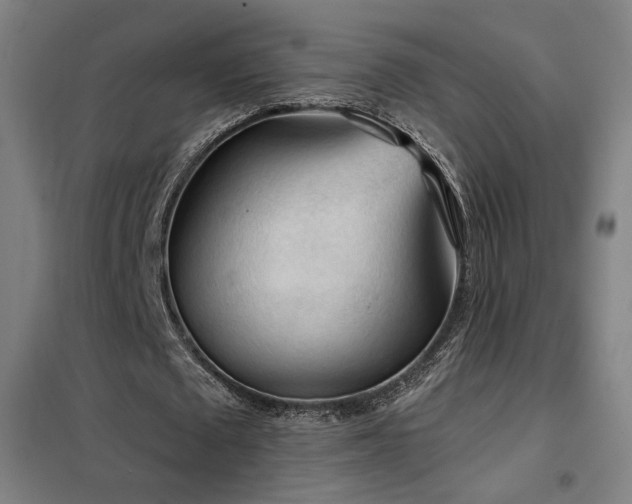 X0000102280673200807251359