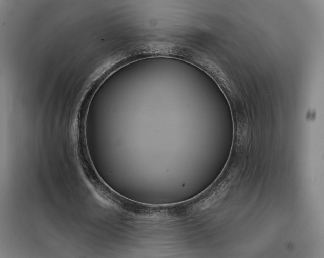 X0000102280674200807251359