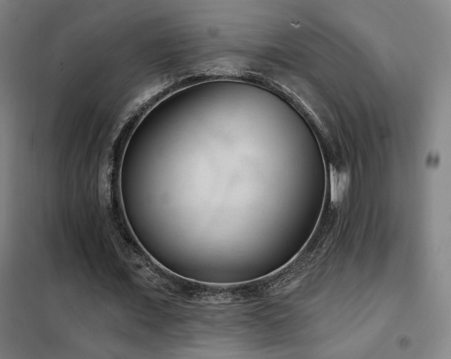 X0000102280675200807251359