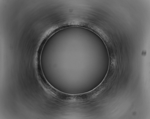 X0000102280678200807251359