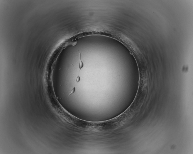 X0000102280680200807251359