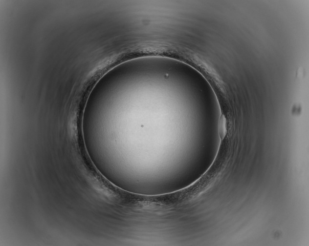 X0000102280681200807251359