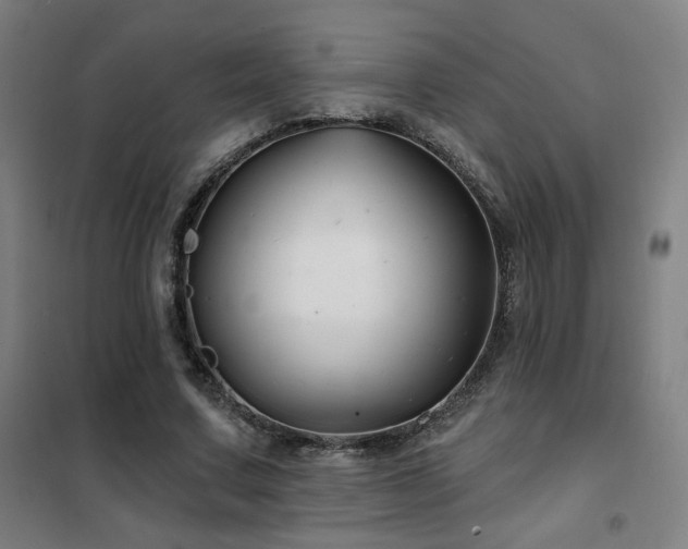 X0000102280683200807251359