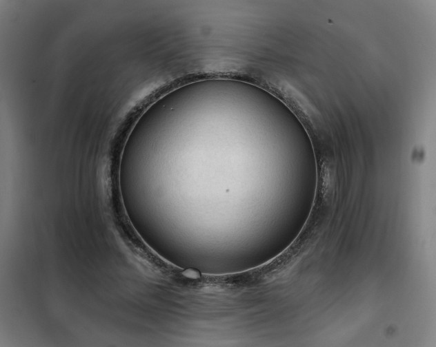 X0000102280684200807251359