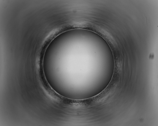 X0000102280686200807251359