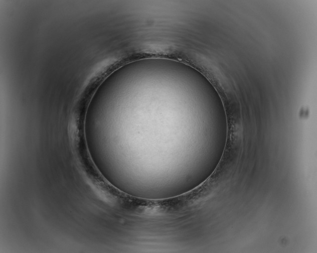 X0000102280688200807251359