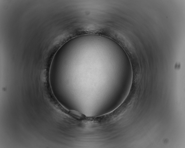 X0000102280689200807251358