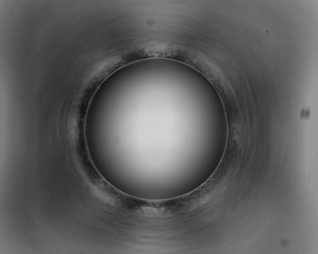 X0000102280690200807251358