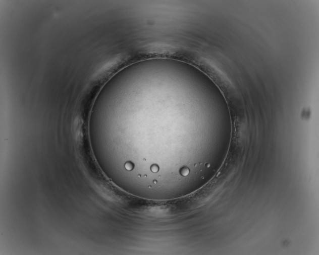 X0000102280692200807251358