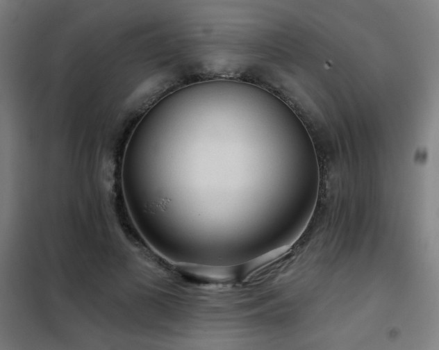X0000102280693200807251358