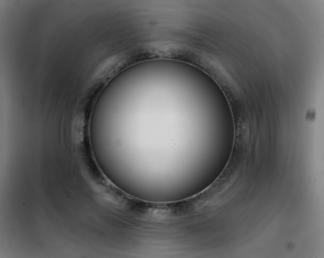 X0000102280694200807251358