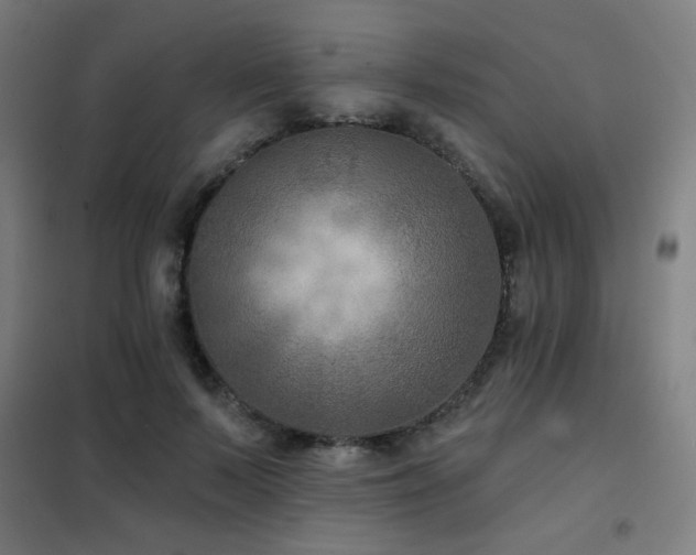 X0000102280695200807251358