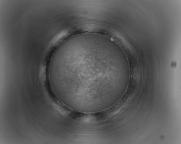 X0000102280696200807251358
