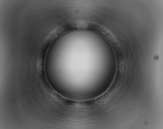 X0000102280697200807251358