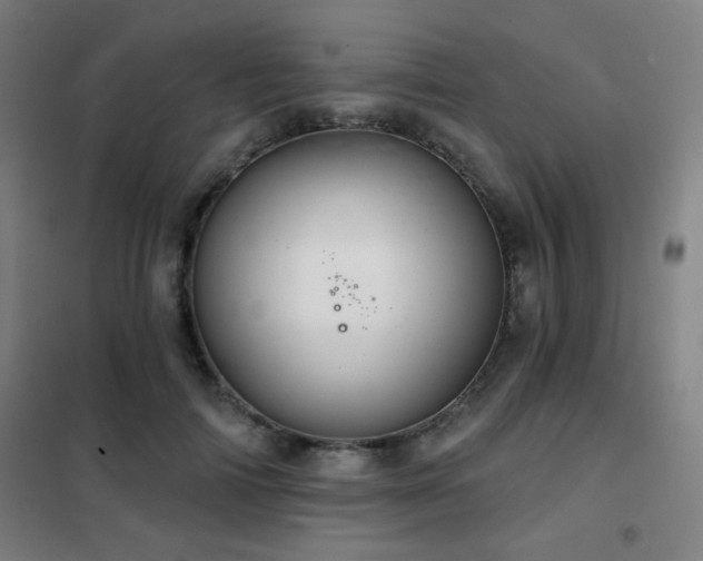 X0000102280698200807251358