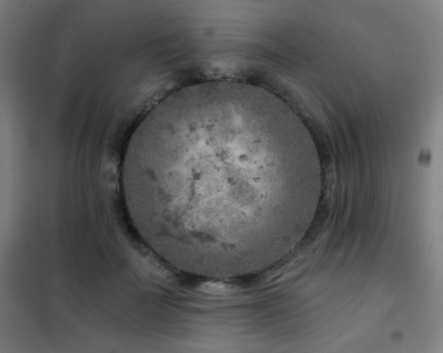 X0000102280699200807251358